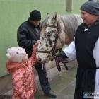 zdjęcie nr 12