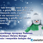 zdjęcie nr 10