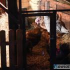 Fotka nr 2 z 19