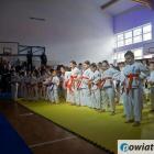Fotka nr 4 z 101