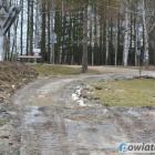 zdjęcie nr 8