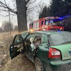 Fotka nr 1 z 2