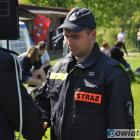 zdjęcie nr 41