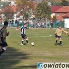 Fotka nr 2 z 14