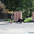 zdjęcie nr 45