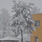 Fotka nr 3 z 11