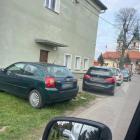 Fotka nr 5 z 6