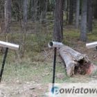 Fotka nr 2 z 17