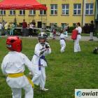 zdjęcie nr 87