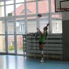 Fotka nr 5 z 33