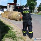 zdjęcie nr 4