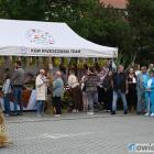 zdjęcie nr 115