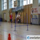 zdjęcie nr 114