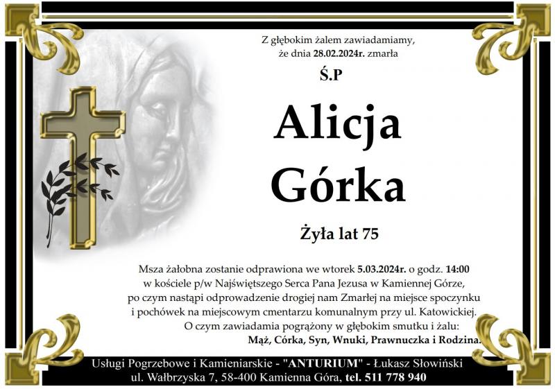 Alicja Górka