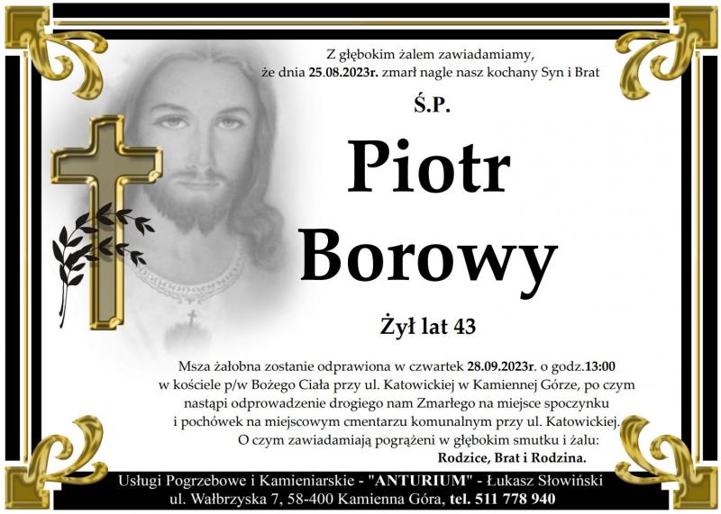 Piotr Borowy