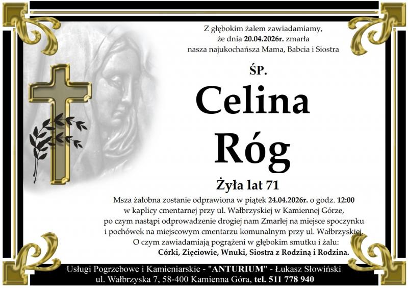 Celina Róg