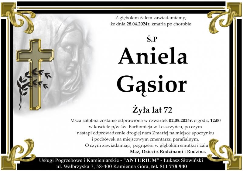 Aniela Gąsior