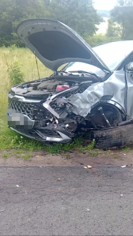 Uderzył w drzewo