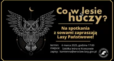 Co w lesie huczy?