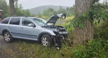Uderzył w drzewo